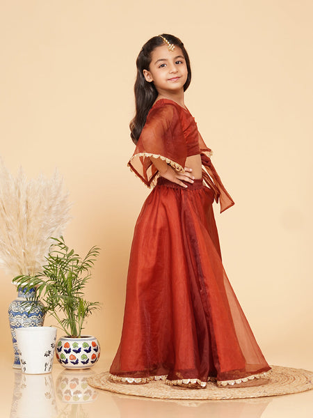 Coke Organza Crop Top Skirt Set