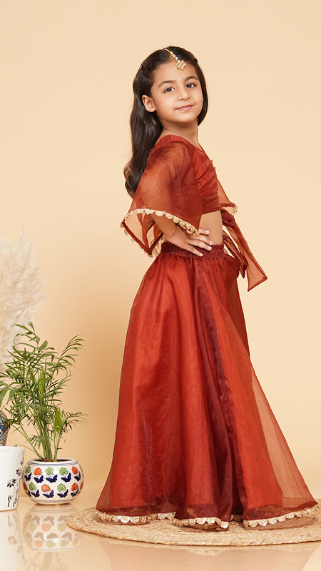 Coke Organza Crop Top Skirt Set