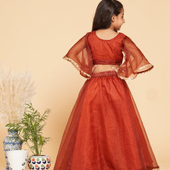 Coke Organza Crop Top Skirt Set