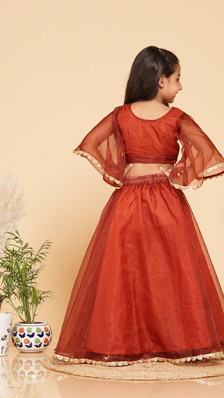 Coke Organza Crop Top Skirt Set