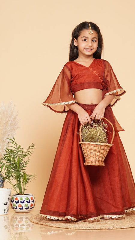 Coke Organza Crop Top Skirt Set