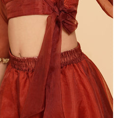 Coke Organza Crop Top Skirt Set