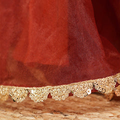 Coke Organza Crop Top Skirt Set