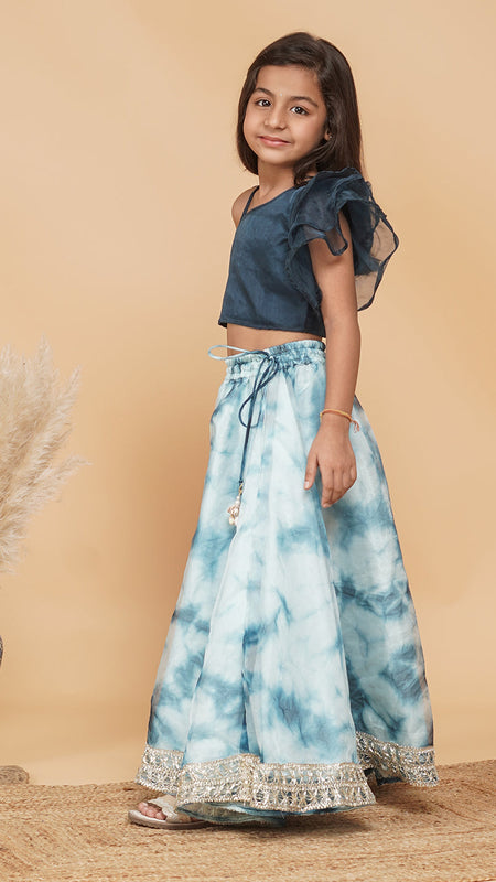 Organza Crop top & Shibori Skirt set