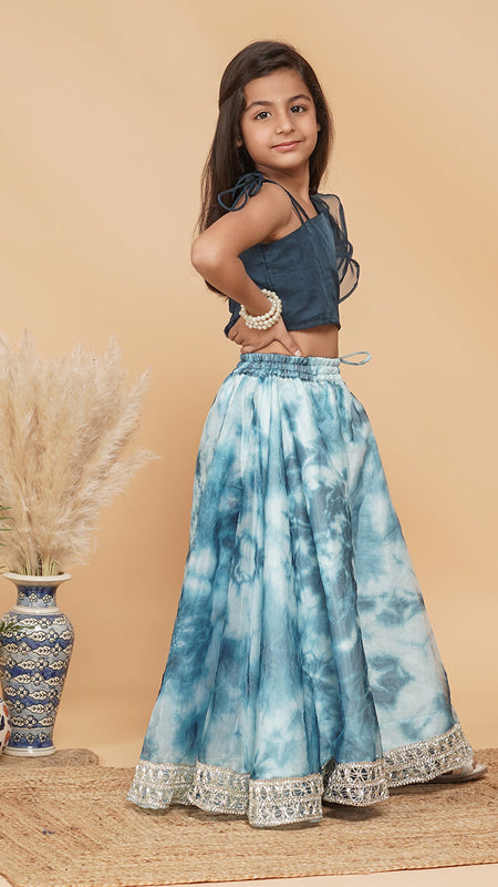 Organza Crop top & Shibori Skirt set