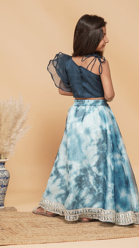 Organza Crop top & Shibori Skirt set