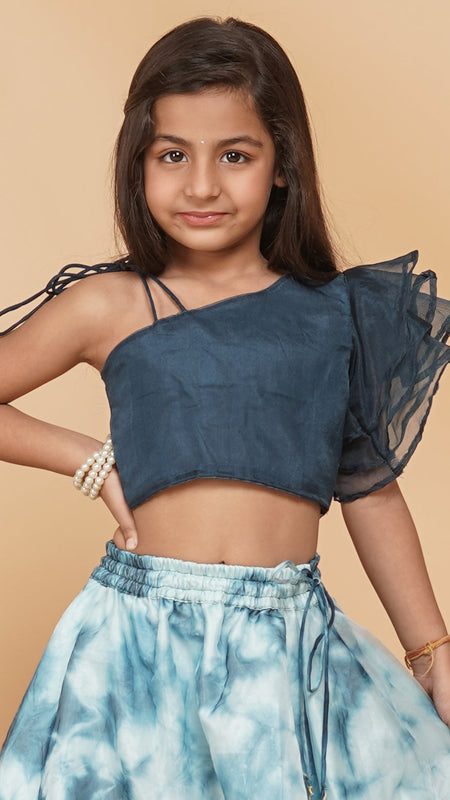 Organza Crop top & Shibori Skirt set