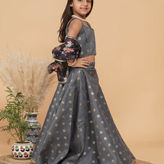 Grey Gold Foil Print Kota doriya Lehenga set