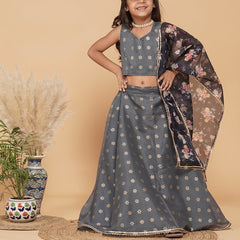Grey Gold Foil Print Kota doriya Lehenga set