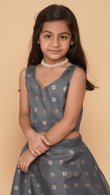 Grey Gold Foil Print Kota doriya Lehenga set