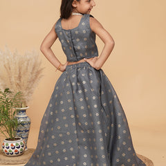 Grey Gold Foil Print Kota doriya Lehenga set