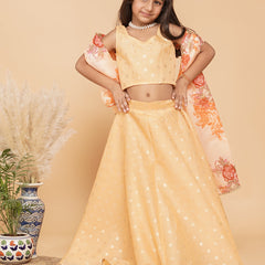 Gold Foil Print Kota doriya Lehenga set