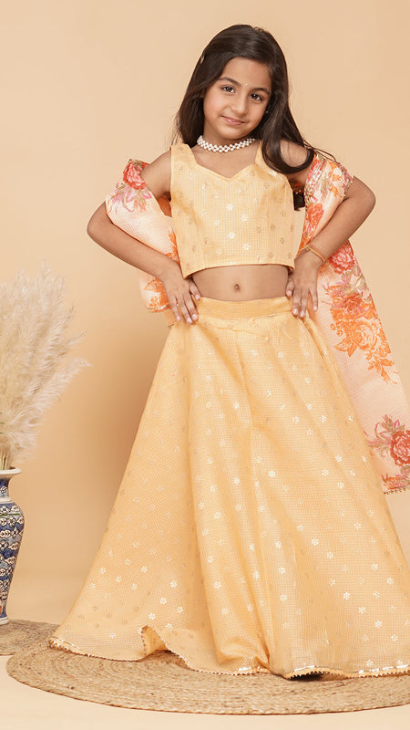 Gold Foil Print Kota doriya Lehenga set