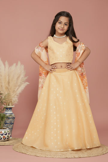 Gold Foil Print Kota doriya Lehenga set