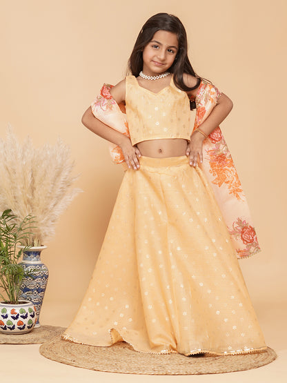 Gold Foil Print Kota doriya Lehenga set