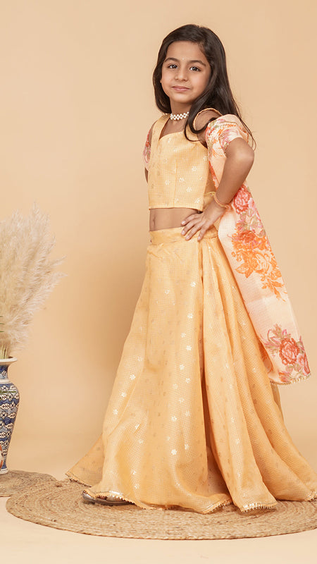 Gold Foil Print Kota doriya Lehenga set