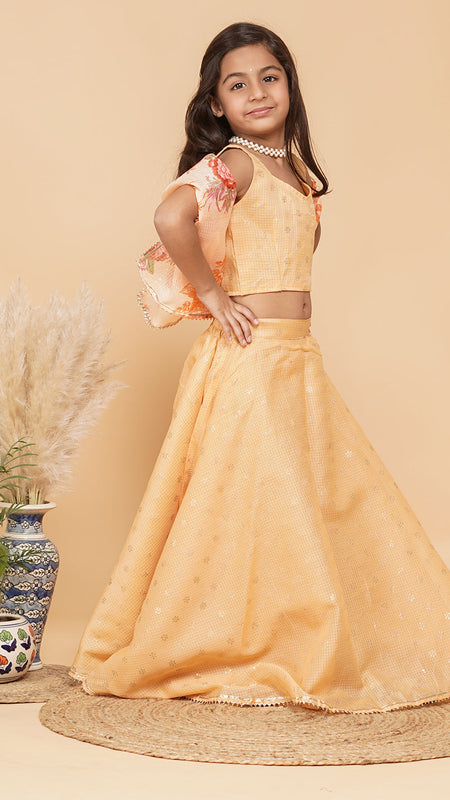 Gold Foil Print Kota doriya Lehenga set