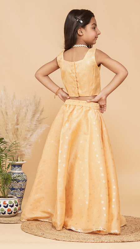 Gold Foil Print Kota doriya Lehenga set