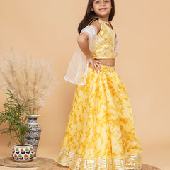 Shibori Kota doriya Lehenga set