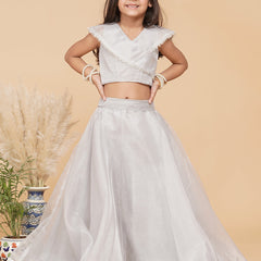 Grey Organza Crop top Skirt set