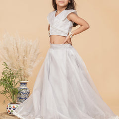 Grey Organza Crop top Skirt set