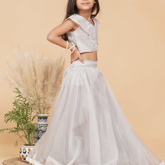 Grey Organza Crop top Skirt set
