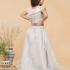 Grey Organza Crop top Skirt set