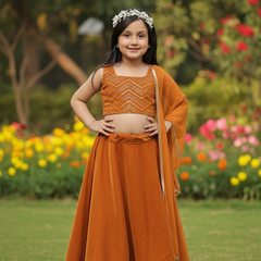 Rust Velvet Lehenga set