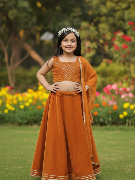 Rust Velvet Lehenga set