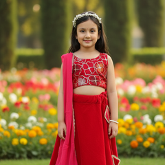 Rani Pink Velvet Lehenga set