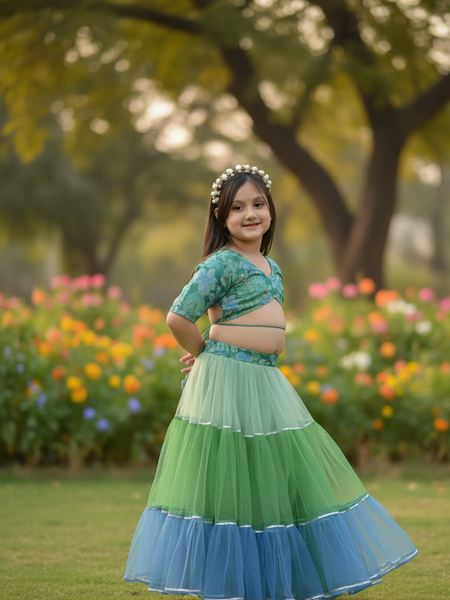 Peacock Multi colored Lehenga set