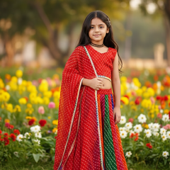 Red Georgette Pachrangi Lehenga Set