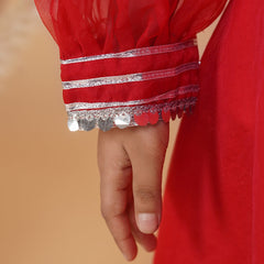 Red Organza Crop top Pallazos set