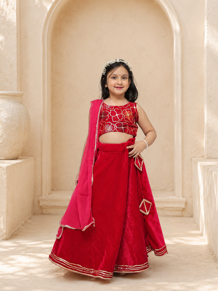Rani Pink Velvet Lehenga set