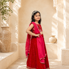 Rani Pink Velvet Lehenga set