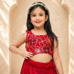 Rani Pink Velvet Lehenga set