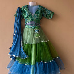 Peacock Multi colored Lehenga set
