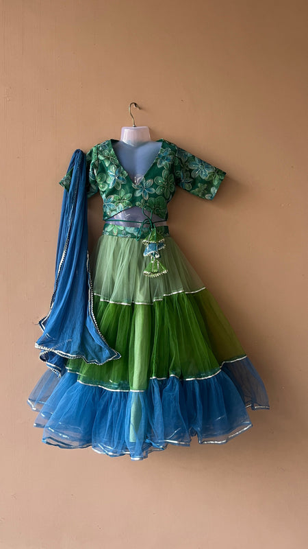 Peacock Multi colored Lehenga set