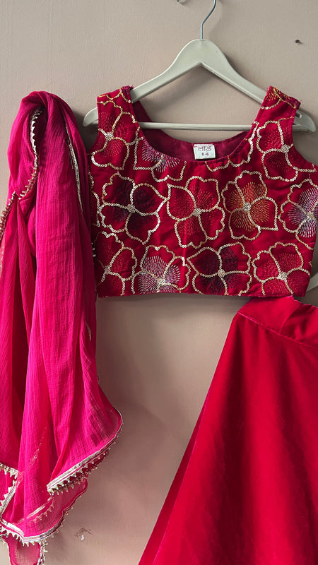 Rani Pink Velvet Lehenga set